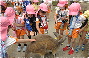 春の遠足の写真